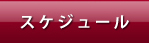 スケジュール