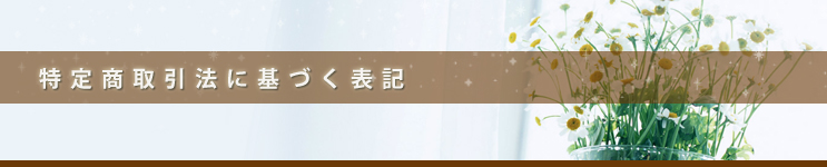 꾦ˡ