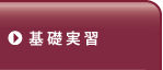 基礎マスタークラス：基礎実習