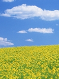 taiken_photo_11